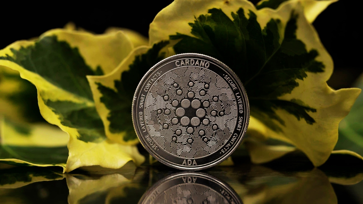 Cardano (ADA) sees potential recovery, Bullish signals spotted